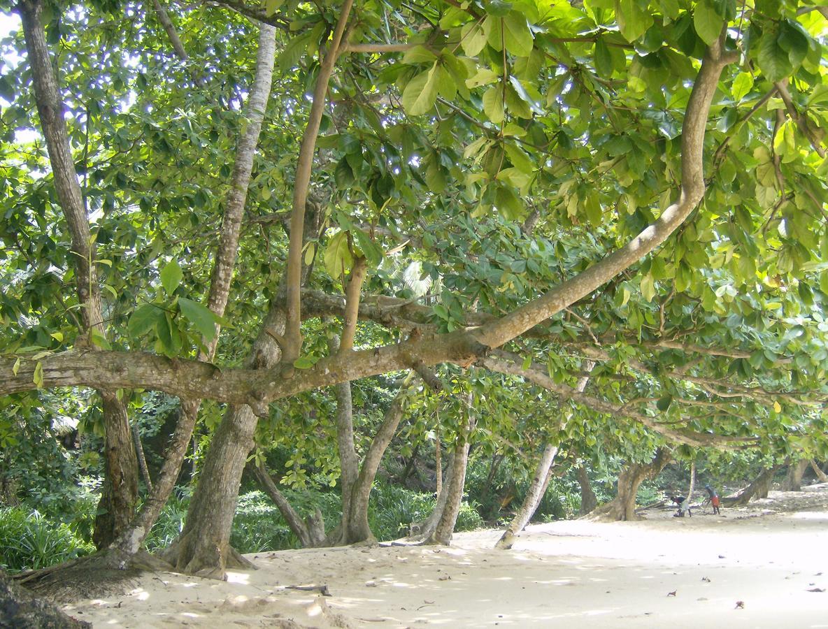 N'Guembu Nature Resort 포르투알레그레 외부 사진
